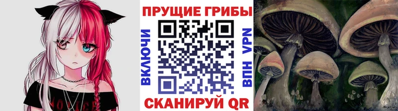 цены наркотик  Курск  Псилоцибиновые грибы Magic Shrooms 