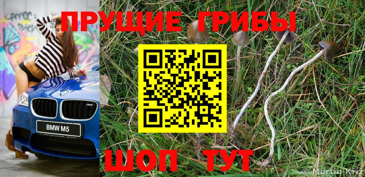 как найти закладки  Вход с VPN  Курск  Галлюциногенные грибы мицелий 